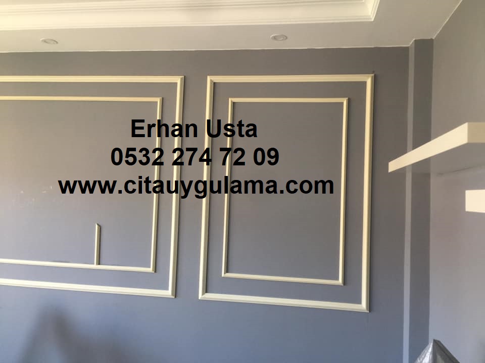 8520-56 Fatih Çıta Uygulama Ustası